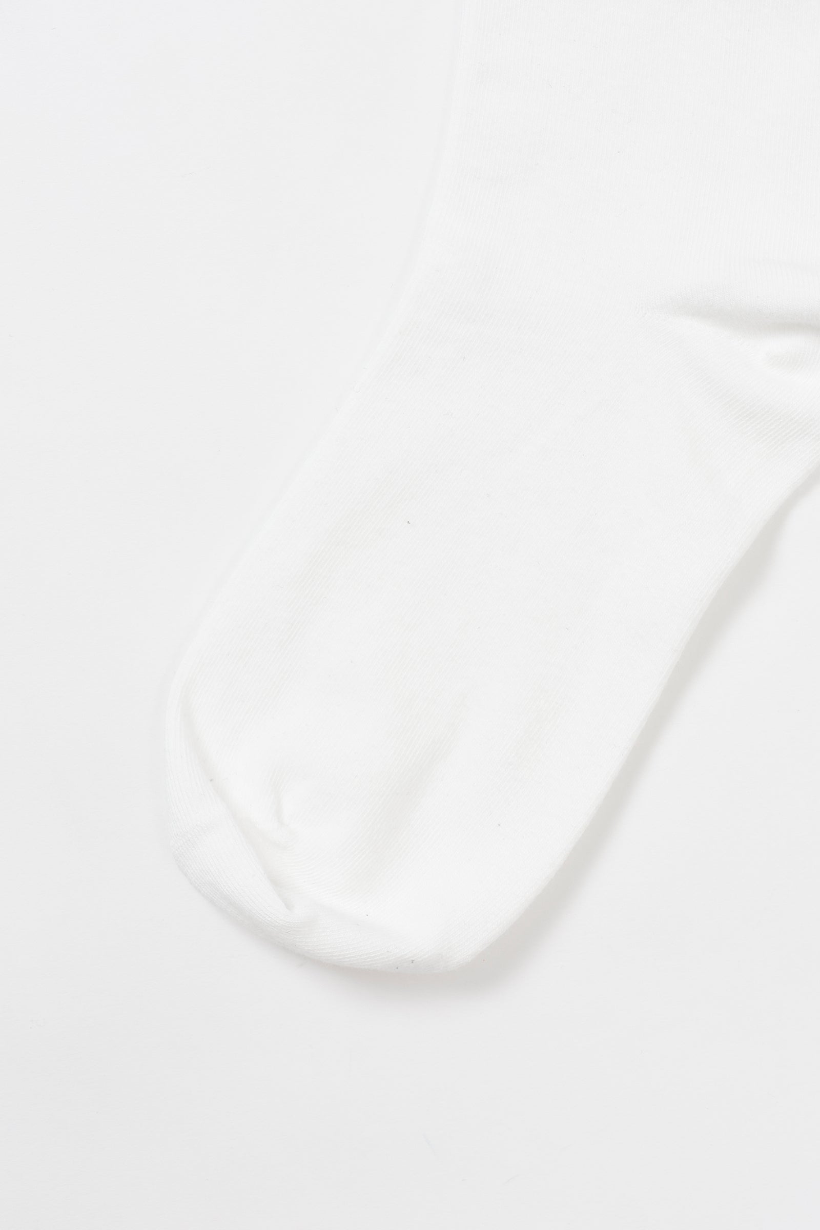 【追加生産予約】ナガノキャラクターズ クルーソックス モノクロなくま ホワイト 22-24cm