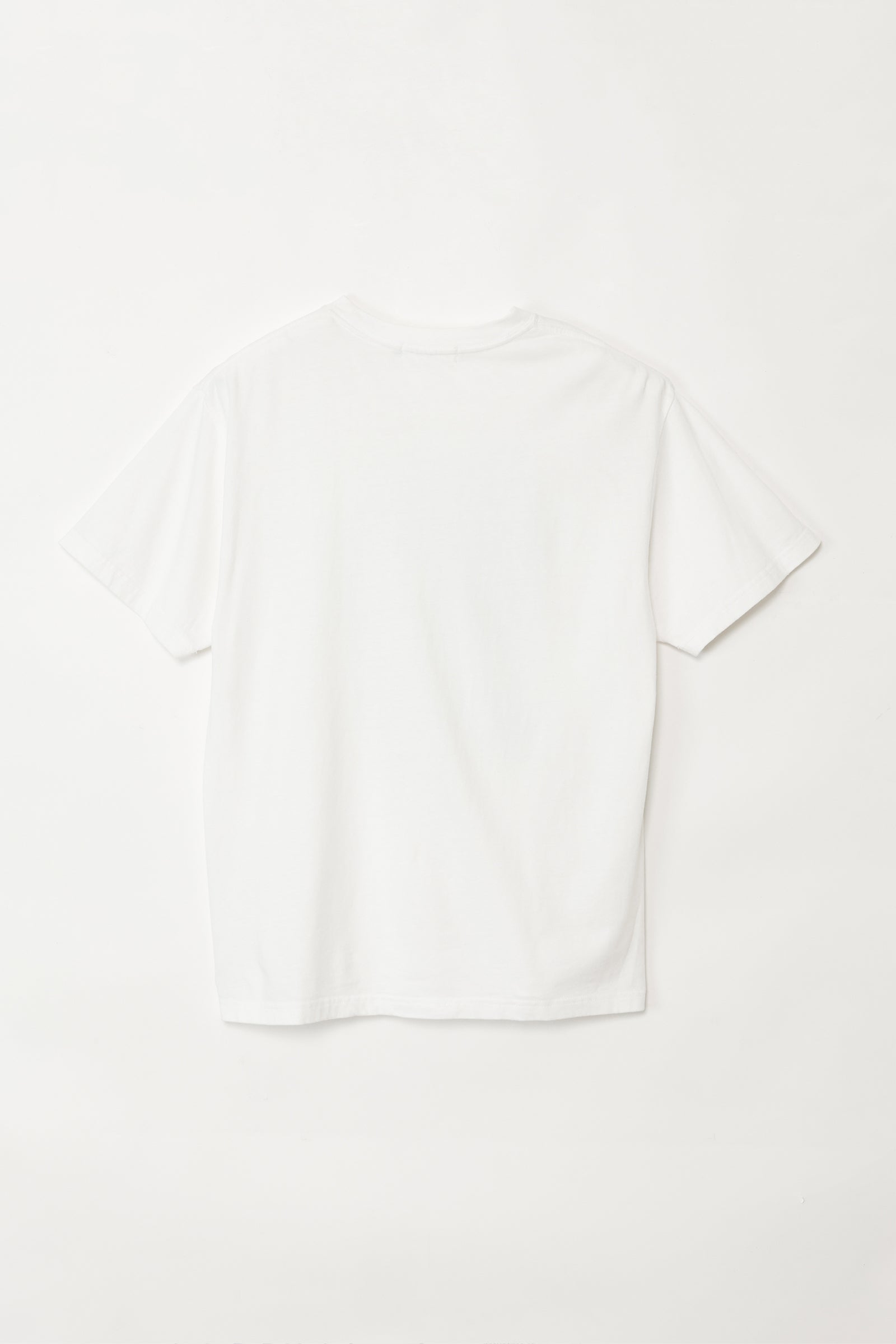 ナガノキャラクターズ Tシャツ ウミウシ オフ