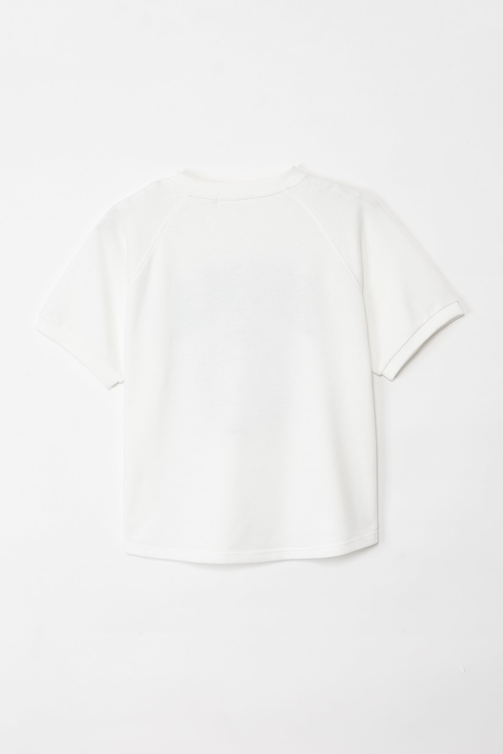 ナガノキャラクターズ Tシャツ カレッジ くま ホワイト