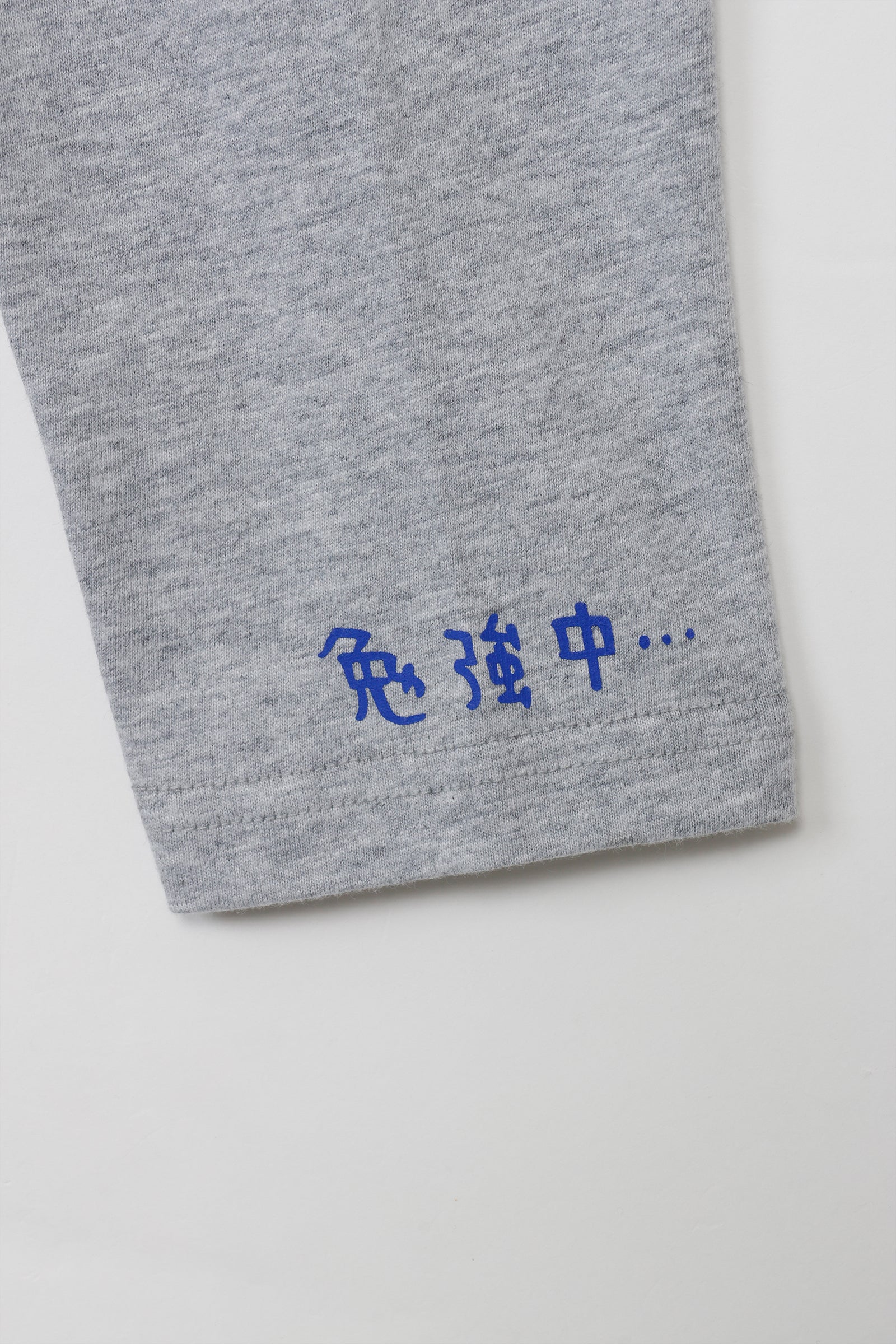 ちいかわ 長袖Ｔシャツ 試験勉強 アッシュ